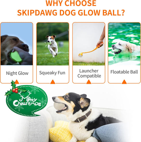 SKIPDAWG Interactive Squeaky Light Up Dog Ball | Glow in Dark, Floating Toy, Durable TPR, 2.5 Inches