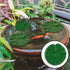 12Pcs Realistic Lily Pads Leaves - Artificial Floating Foam Foliage for Ponds, Koi Fish Pool, Patio & Aquarium Decor