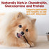 6 Inch 10 Riley's Beef Collagen Sticks for Dogs, Collagen Chews for Dogs, Bully Stick & Rawhide Alternative, Long