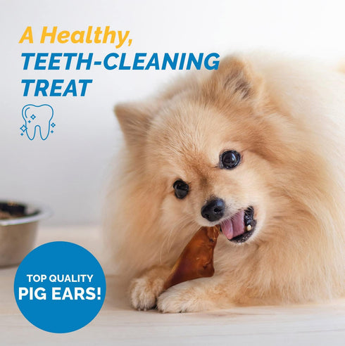 Pig Ears for Dogs, 100% Natural Long Lasting Pork Chews, Ideal for All Chewers, Half Pig Ears (One Pack of 30)