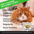 Immune Immunity, 30-Day Cat Probiotics Gut + Health Chews Crunchy & Creamy Cat Treats for Digestive Health, Gut Flora