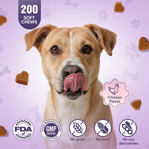 200pcs Glucosamine for Dogs Joint Support Supplement Dog Hip and Joint Chondroitin Chews Treats with MSM Dog Joint Pain