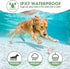Dog Shock Collar, Electric Training Collar with Remote, 1600FT, Waterproof with 3 Training Modes for All Breeds