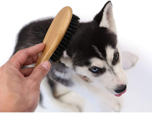 Patina Dog Cat Brush for Shedding, Natural Bamboo Boar Bristles, Pet Grooming Supplies for Dogs Cats