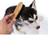 Patina Dog Cat Brush for Shedding, Natural Bamboo Boar Bristles, Pet Grooming Supplies for Dogs Cats