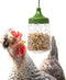 Omlet Pendant Peck Toy | Interactive Slow-Feed Chicken Treat Dispenser | Boredom