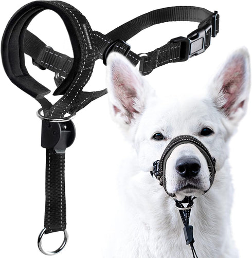 GoodBoy Dog Head Halter with Safety Strap - Padded Headcollar for Small, Medium & Large Dogs - Training Guide Included
