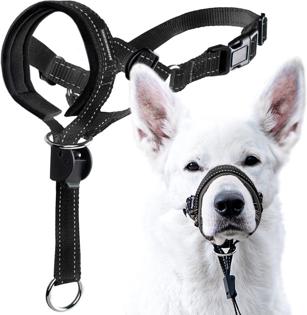 GoodBoy Dog Head Halter with Safety Strap - Padded Headcollar for Small, Medium & Large Dogs - Training Guide Included