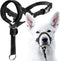 GoodBoy Dog Head Halter with Safety Strap - Padded Headcollar for Small, Medium & Large Dogs - Training Guide Included