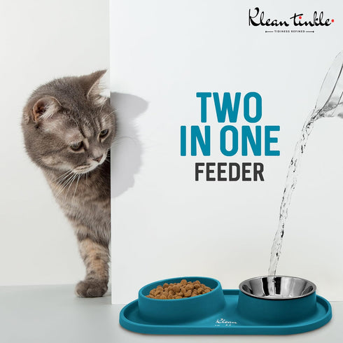 Pets Dog Bowl Set - Removable Double Slow Feeder Bowls with Non-Skid Silicone Mat, Stainless Steel Water Bowl (Dirty