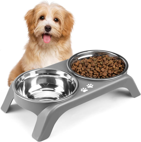 Elevated Cat Bowls - Anti-Vomiting Raised Stand with 2 Thick Stainless Steel Bowls, Grey