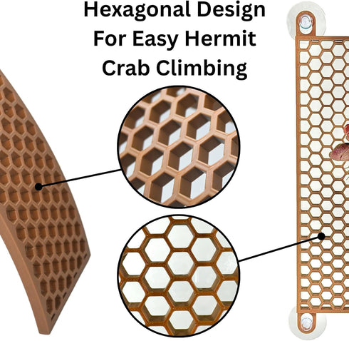 (2-Pack) Hermit Crab Climbing Ladders | Hermit Crab Tank Enrichment Decor | Decoration Accessories Supplies Toys