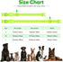 Light Up Dog Collars - Rechargeable Reflective LED Glow Dark Collar for Small, Medium, and Large Dogs, Adjustable
