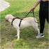 10 FT Traffic Leash with 2 Handles, Reflective Dog Leash for Large Medium Dogs, Easy Control Training Lead, Black