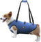Coodeo Dog Lift Harness - Pet Support & Rehabilitation Sling Lift for Old, Disabled Dogs (Blue, S)