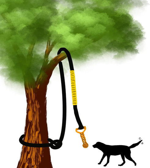 Jalousie Dog Bungee Toy, 20.35 ft Reinforced Interactive Toy with Two Replacement Rope Toys