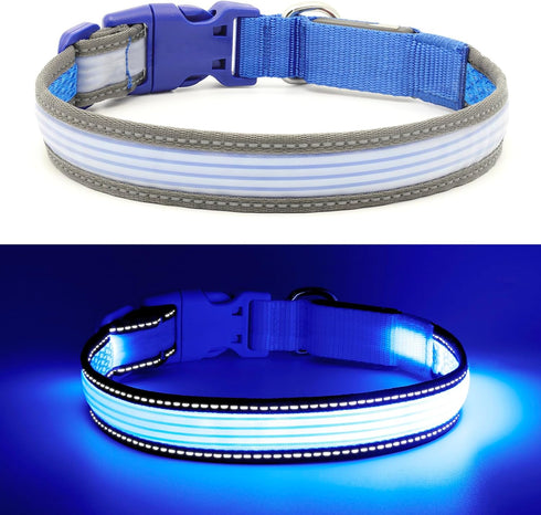 YFbrite Full Adjustable LED Dog Collar, Reflective Light Up Collar for All Dogs Safety (Medium, Blue-2)