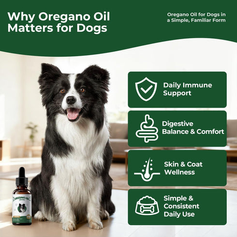BrightBarki Immune 2 oz Oregano Oil for Dogs Drops, Organic Oil of Oregano in Extra Virgin Olive Oil, Mediterranean