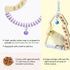 Natural Bird Swing - Moon-Shaped Parrot Perch with Bell and Cork Toys, Spinning Wooden Stand for Parakeets, Budgies