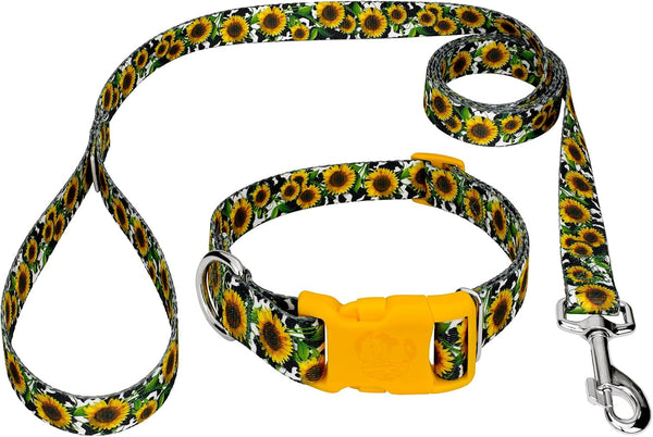 Country Brook Petz - Dairy Fields Everyday Dog Collar and Leash -