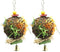 EBaokuup 2 Pack Bird Chewing Toys, Foraging Shredder Hanging Toy for Parrot Cage (Cockatiel Conure African Grey)
