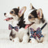 Reginary 100 Pcs Dog Bow Tie Collar Set, 40 Neckties, 30 Puppy Bow Ties, 30 Collar Flowers for Small Medium Dogs