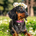 Dog Collar Ayaseen, Floral Girl Pink Dog Collars, Cute Adjustable Soft Flower Pet Collar with Daisies for Male Females