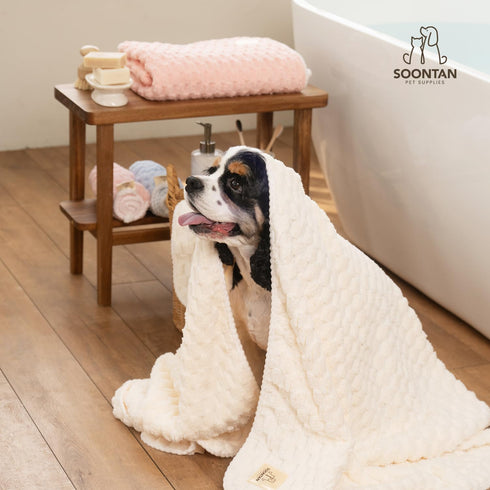 Microfiber Dog and Cat Towel Set, Quick-Dry Bath and Grooming Towels for Pets, Includes 2 Different Sized Towels