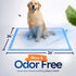 50-Count, 24x24 Healqu Puppy Pads - - Advanced Leakproof Technology for Housebreaking & Training - Ultra Absorbent
