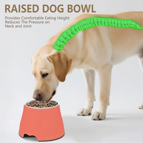 Salmon Stainless Steel Dog & Cat Bowls - Elevated Pet Feeding Essentials