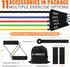 Resistance Bands for Working Out - Set of Fitness Bands, Stretch Bands for Exercise, Includes Door Anchors