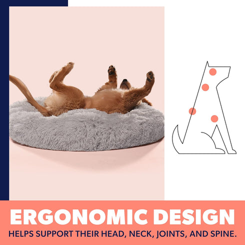 Premium Portable Dog Beds for Medium and Large Dogs - Travel Furniture - Fits Dogs up to 45 lbs, Light Grey (Medium)