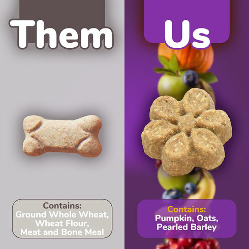 Fruitables Baked Dog Treats – Healthy Low Calorie Pumpkin and Blueberry, 12 Ounces