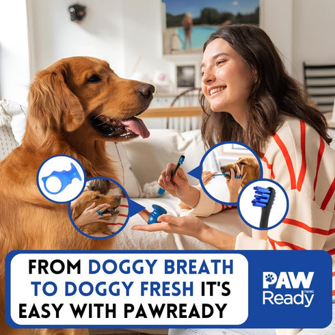 1 Pack 70g (2.5 oz) Paw Ready From Doggy Breath to Doggy Fresh Dog Dental Care Enzymatic Toothpaste for Dogs | Cleans