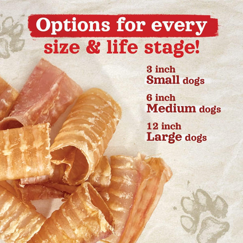 (6 Inch, 6 Pack)- 100% Natural Farm Beef Trachea for Dogs Beef,Odor Free Trachea Dog Chews- Glucosamine & Chondroitin