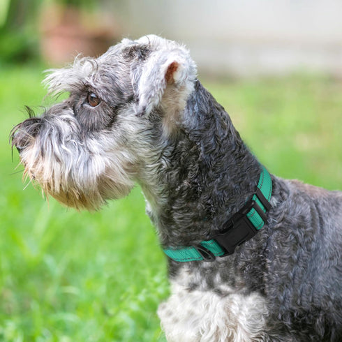Joytale Reflective Dog Collar - Soft Neoprene Padded Nylon Pet Collar, Adjustable for Medium Dogs, Teal, M