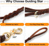 Guiding Star 6ft Double Handle Leather Dog Leash, Heavy Duty Braided for Small Medium & Large Dogs, Brown