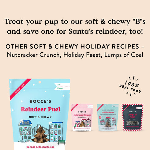 Bocce's Bakery Seasonal Reindeer Fuel Dog Treats, All-Natural, Wheat-Free, Limited-Ingredient, Soft & Chewy, 6 oz