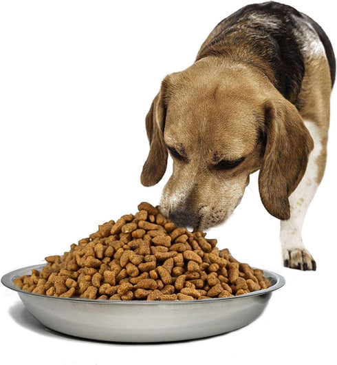 kathson Stainless Steel Cat Bowl, 4 pcs Shallow & Wide Dishes for Cats & Dogs, Fits Elevated Stands (10.22 Inch Dia.)
