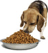 kathson Stainless Steel Cat Bowl, 4 pcs Shallow & Wide Dishes for Cats & Dogs, Fits Elevated Stands (10.22 Inch Dia.)
