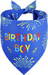 Agroon Blue Dog Birthday Bandana Boy XLarge 1PCS, Durable Triangle Reversible Scarf Bibs