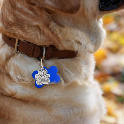 Needzo St. Francis Paw Medal for Pet Collar - Patron Saint of Animals Charm Accessory for Dog Collars (Pack of 2)