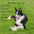 Dog Bones Chew Toys for Aggressive Chewers, 2 Pack Real Beef Flavor for Large Medium Small Puppies