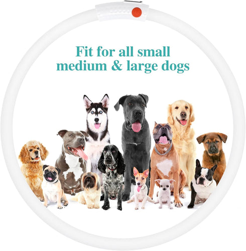 HIGO LED Dog Collar Light, RGB Light Up Necklace for Your Dog's Nighttime Walking (Multi-Color)