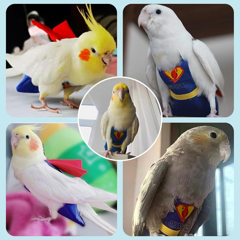 Bird Diaper Cockatiel Clothes Flight Suite, Reusable Parrot Nappy with Waterproof Inner Layer (Blue-S)