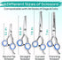 Pawtrim 6 1 4CR Professional Pet Grooming Kit in Dog Grooming Scissors Kit - Dog & Cat Grooming Supplies - Adjustable