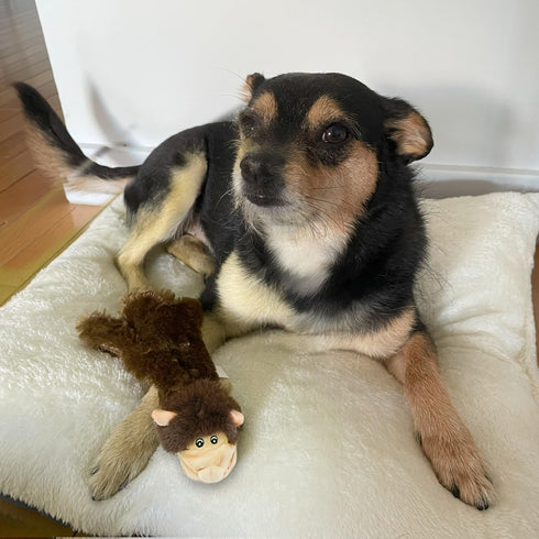 Best Pet Supplies 2-in-1 Stuffless Squeaky Dog Toy - Monkey, Large, Soft Durable Fabric