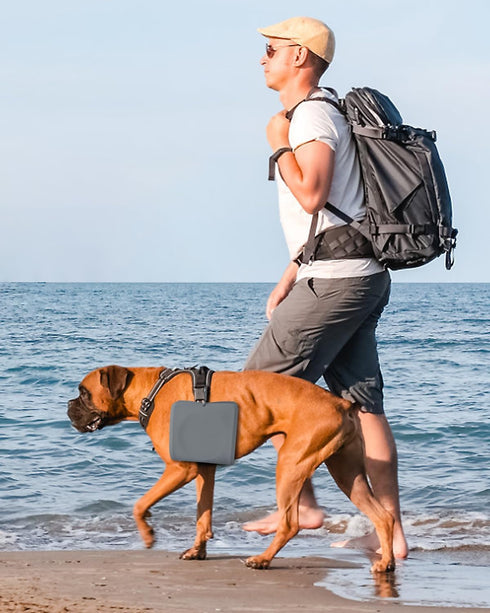 Collapsible Portable 2-in-1 Dog Bowl, Silicone Travel Food Water Bowl with Carabiner, Anti-Spill, Anti-Skid (Grey)