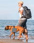 Collapsible Portable 2-in-1 Dog Bowl, Silicone Travel Food Water Bowl with Carabiner, Anti-Spill, Anti-Skid (Grey)