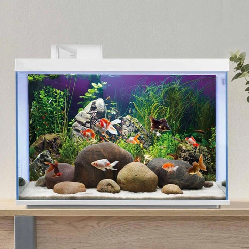 AWERT 24x16 inches Seagrass Aquarium Background, Stone River Bed & Lake Vinyl Background for Fish Tank